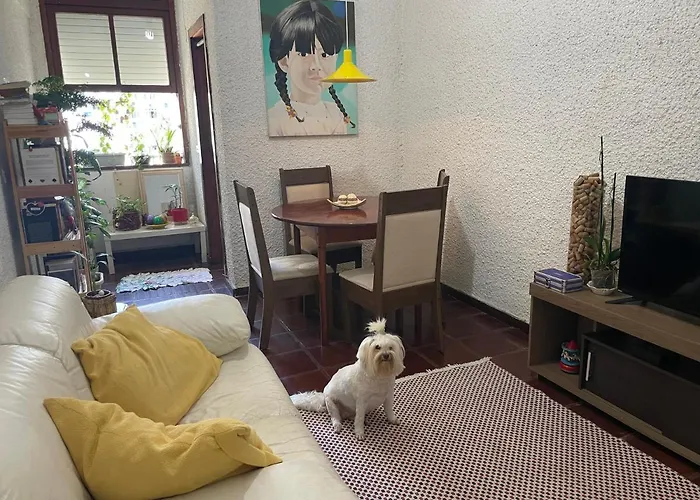 Quarto Camarim Rio de Janeiro